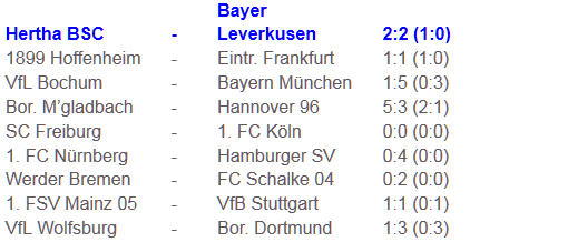 Torjäger Adrian Ramos Hertha BSC Bayer Leverkusen