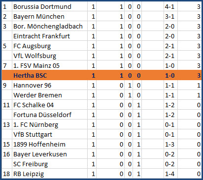 Vedad Vedator Ibisevic Siegtreffer Hertha BSC - 1. FC Nürnberg