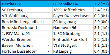 Tor Vedad Ibisevic Hertha BSC - FC Schalke 04