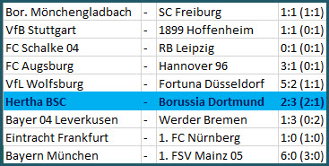 Platzverweise Ibisevic und Torunarigha Hertha BSC Borussia Dortmund