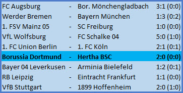 Platzverweis Vladimir Darida Borussia Dortmund - Hertha BSC 2-0